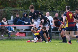 img_6759.jpg - JPEG - 382.8 ko - 2000×1333 px