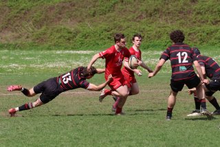 img_7506-2.jpg - JPEG - 483 ko - 2000×1333 px