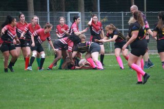 img_7593-2.jpg - JPEG - 403.8 ko - 2000×1333 px