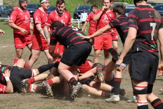 img_7598.jpg - JPEG - 318.4 ko - 2000×3000 px