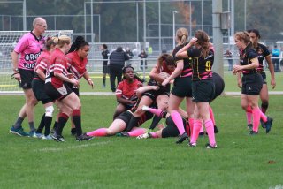 img_7623-2.jpg - JPEG - 430.6 ko - 2000×1333 px