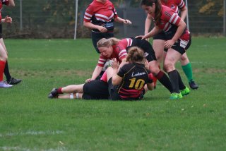 img_7662.jpg - JPEG - 337.6 ko - 2000×1333 px