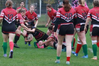 img_7728-2.jpg - JPEG - 408.3 ko - 2000×1333 px