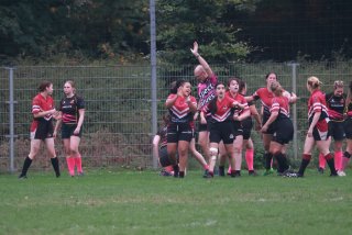 img_7836-5.jpg - JPEG - 413.1 ko - 2000×1333 px