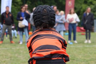 img_7881-2.jpg - JPEG - 278.4 ko - 2000×1333 px