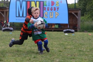 img_8192.jpg - JPEG - 377.7 ko - 2000×1333 px