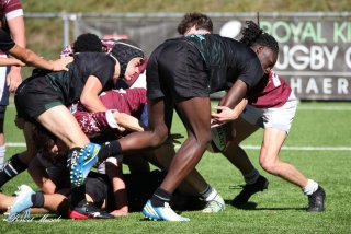 img_8924-3.jpg - JPEG - 426.9 ko - 2000×1333 px