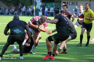 img_9041.jpg - JPEG - 399.6 ko - 2000×1333 px