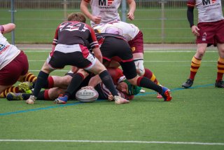 img_9178-2.jpg - JPEG - 374.3 ko - 2000×1333 px