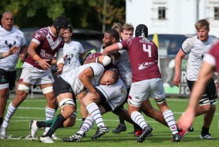 img_9264.jpg - JPEG - 128 ko - 1500×1000 px