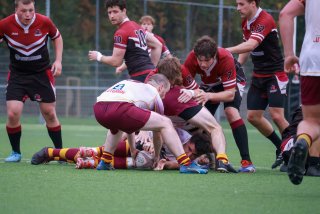 img_9309-3.jpg - JPEG - 365.3 ko - 2000×1333 px