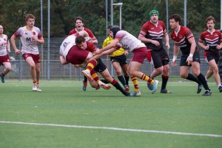 img_9590_1_.jpg - JPEG - 403.5 ko - 2000×1333 px