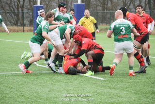 imgl6962.jpg - JPEG - 530.5 ko - 2000×1333 px