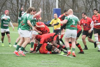 imgl6963.jpg - JPEG - 570 ko - 2000×1333 px