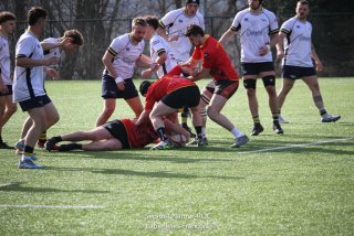 imgl8623.jpg - JPEG - 844 ko - 1005×670 px