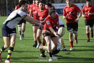 imgl8633.jpg - JPEG - 754.8 ko - 1005×670 px