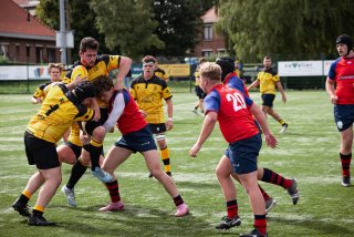 rug_equ1-136.jpg - JPEG - 573.6 ko - 2000×1333 px