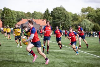 rug_equ1-247.jpg - JPEG - 538.7 ko - 2000×1333 px