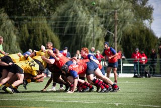 rug_equ1-294.jpg - JPEG - 466.5 ko - 2000×1333 px