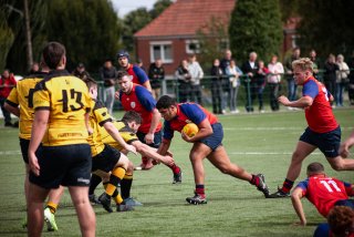 rug_equ1-304.jpg - JPEG - 438 ko - 2000×1333 px