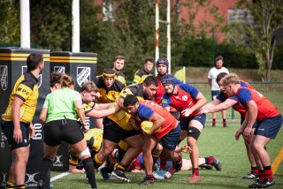 rug_equ1-309.jpg - JPEG - 497.3 ko - 2000×1333 px