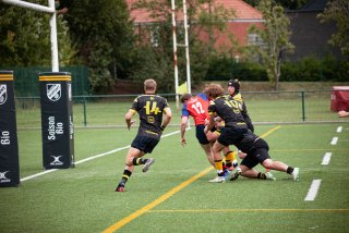 rug_equ1-381.jpg - JPEG - 478.1 ko - 2000×1333 px