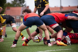 rug_equ1-442.jpg - JPEG - 411.9 ko - 2000×1333 px