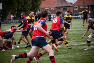 rug_equ1-449.jpg - JPEG - 439.5 ko - 2000×1333 px