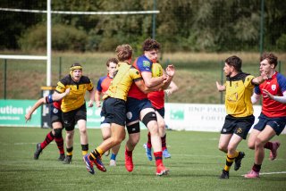 rug_equ1-58.jpg - JPEG - 452.2 ko - 2000×1333 px