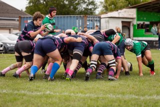 seniors_binche_vs_nivelles_rugbybinche_2025-08.jpg - JPEG - 512 ko - 2000×1333 px