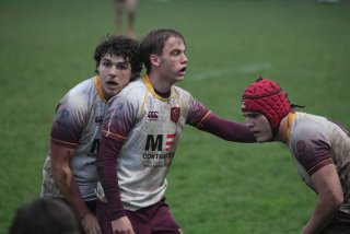 vb_a0437.jpg - JPEG - 279.3 ko - 2000×1333 px