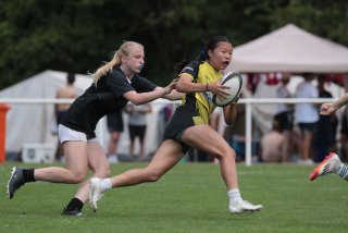 vb_a0533.jpg - JPEG - 259.4 ko - 2000×1333 px