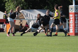 vb_a0767.jpg - JPEG - 390.7 ko - 2000×1333 px