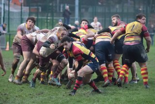 vb_a0838-2.jpg - JPEG - 417 ko - 2000×1333 px