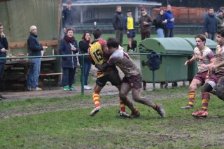 vb_a0884.jpg - JPEG - 393.5 ko - 2000×1333 px