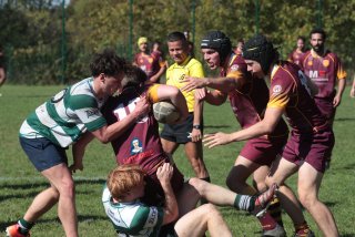 vb_a2436.jpg - JPEG - 423 ko - 2000×1333 px