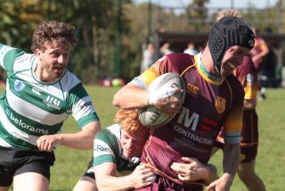 vb_a2787.jpg - JPEG - 360.1 ko - 2000×1333 px