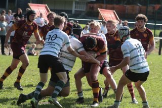 vb_a3528-2.jpg - JPEG - 464.8 ko - 2000×1333 px