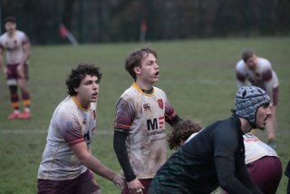 vb_a3637.jpg - JPEG - 282.9 ko - 2000×1333 px