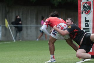 vb_a4261.jpg - JPEG - 282.1 ko - 2000×1333 px