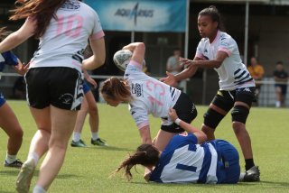 vb_a4789.jpg - JPEG - 339.1 ko - 2000×1333 px