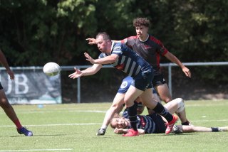 vb_a5518-2.jpg - JPEG - 334.3 ko - 2000×1333 px