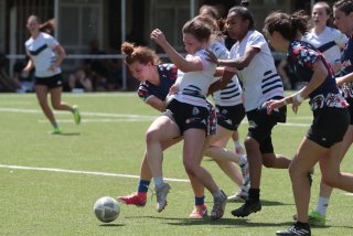 vb_a5633.jpg - JPEG - 393.8 ko - 2000×1333 px