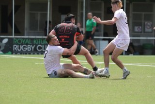 vb_a5743.jpg - JPEG - 306.9 ko - 2000×1333 px