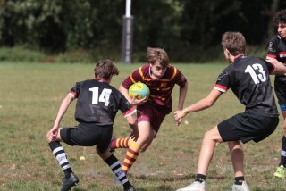 vb_a8782.jpg - JPEG - 94.9 ko - 1500×1000 px