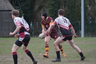 vb_a8959.jpg - JPEG - 322.2 ko - 2000×1333 px