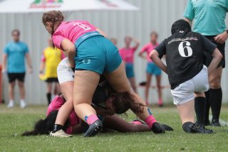 vb_a9483.jpg - JPEG - 338.7 ko - 2000×1333 px