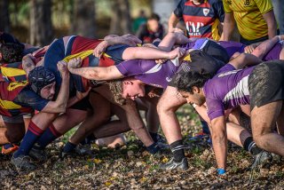 z63_5992.jpg - JPEG - 283.2 ko - 1024×683 px