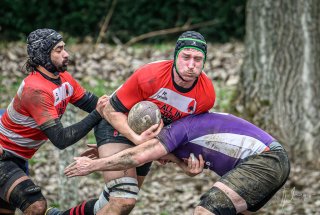 _nz87775.jpg - JPEG - 226.3 ko - 1024×688 px