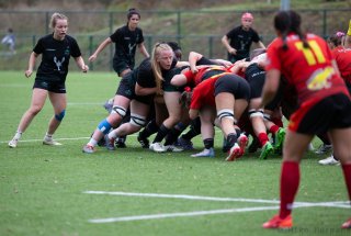 img_7228.jpg - JPEG - 352.5 ko - 2000×1341 px